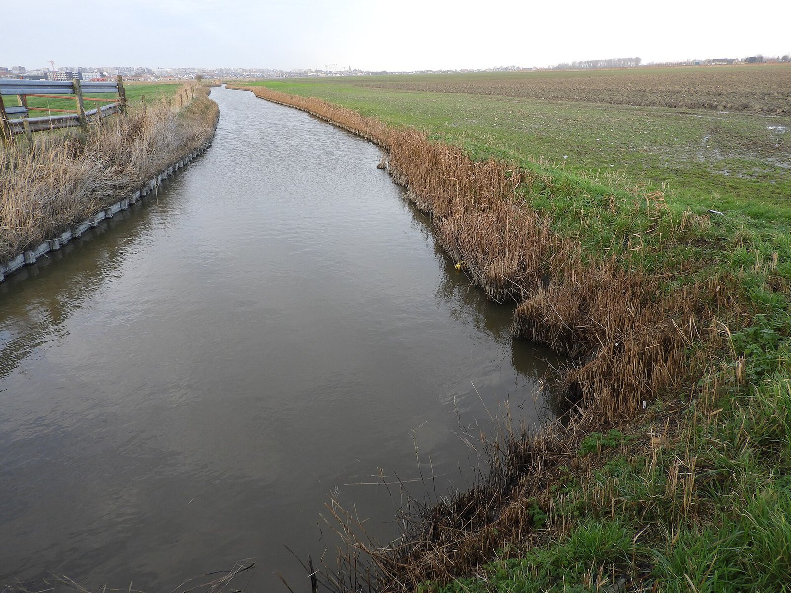 Ce qui reste de la Testerepvliet : le chenal du Groot Geleed. Photo : Hilde Verboven, agence Onroerend Erfgoed, CC BY 4.0