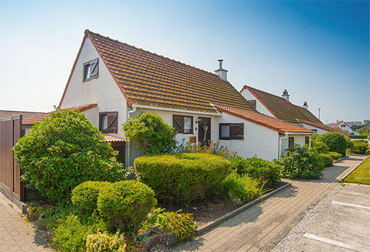 Zeegalm domein image